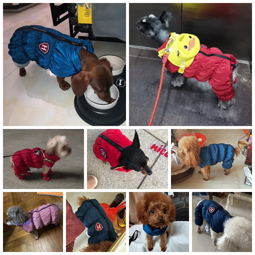 Zipper Snow Unisex Dog Waterpr - Winter Clothing Baby reseña y precio
