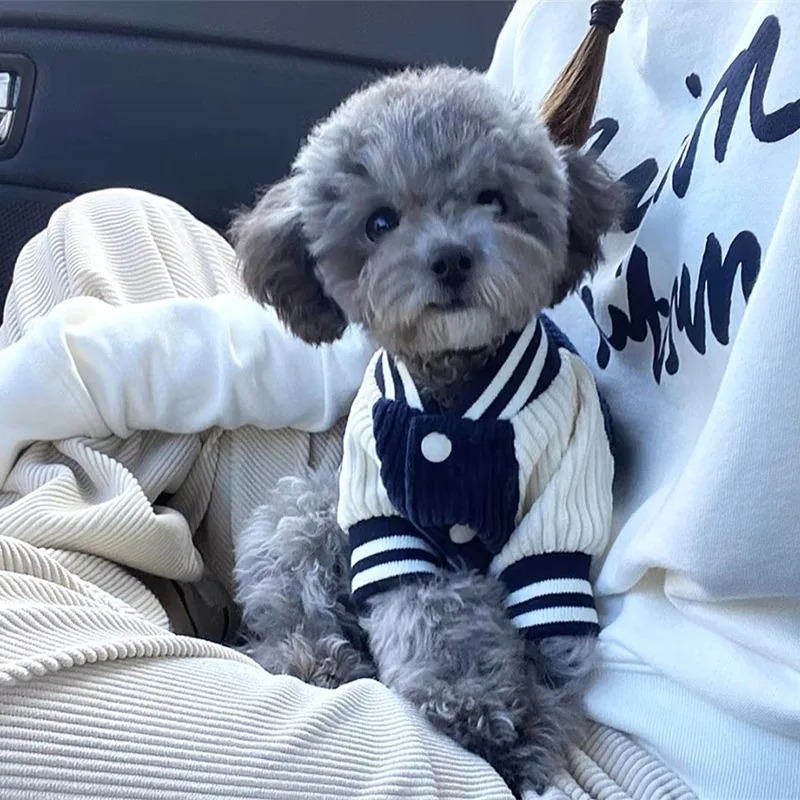 Costume for Dog Clothes Chihua - Winter Clothing Baby reseña y precio
