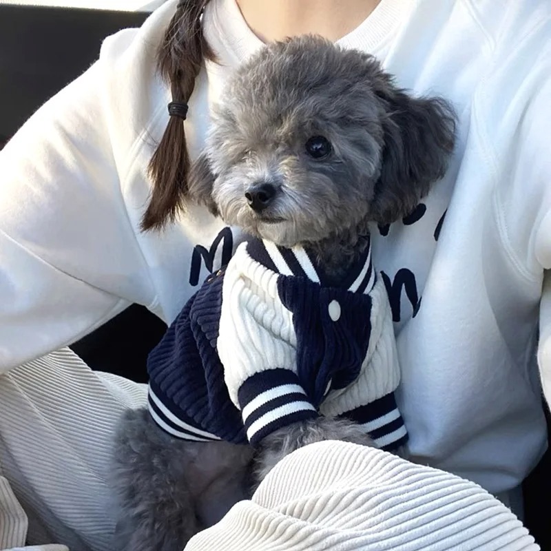 Costume for Dog Clothes Chihua - Winter Clothing Baby reseña y precio