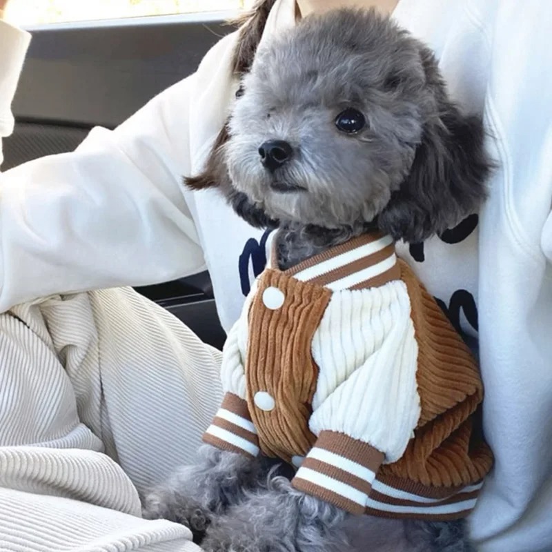 Costume for Dog Clothes Chihua - Winter Clothing Baby reseña y precio