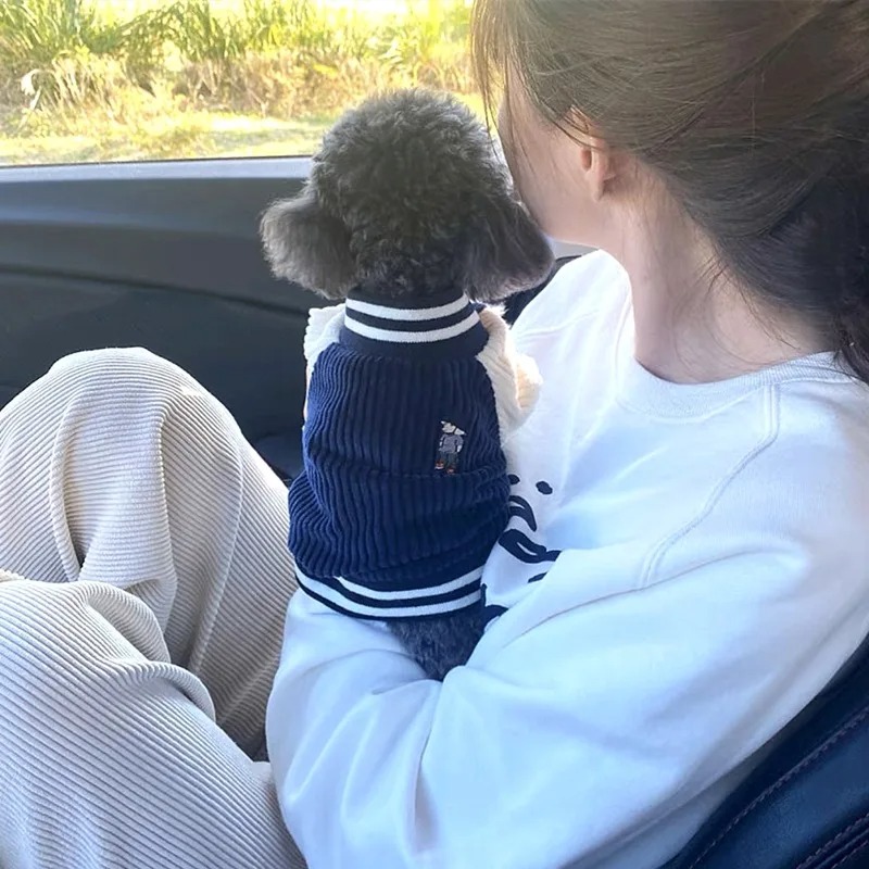 Costume for Dog Clothes Chihua - Winter Clothing Baby reseña y precio