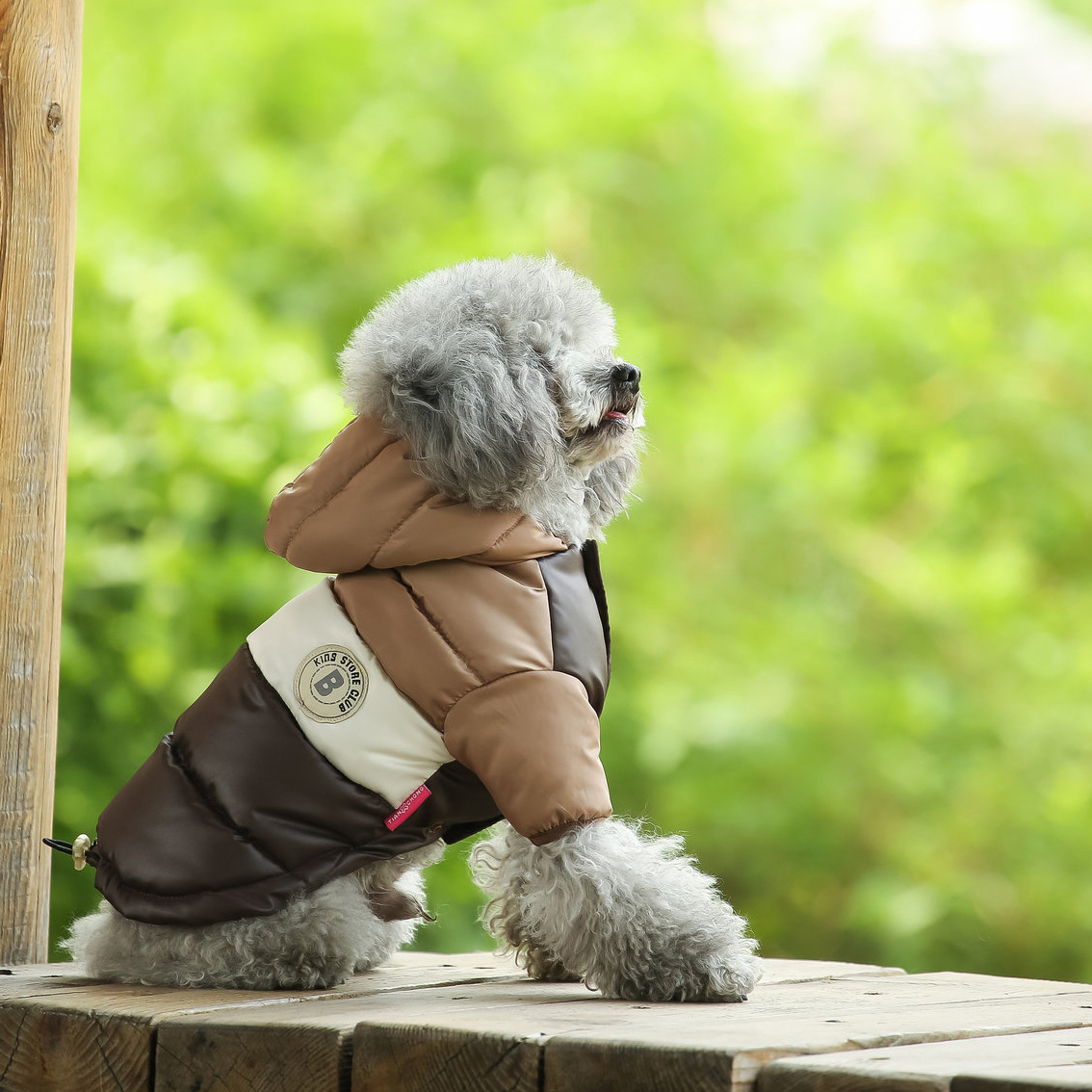 Pet Vest Pet Supplies Winter C - Winter Clothing Options reseña y precio