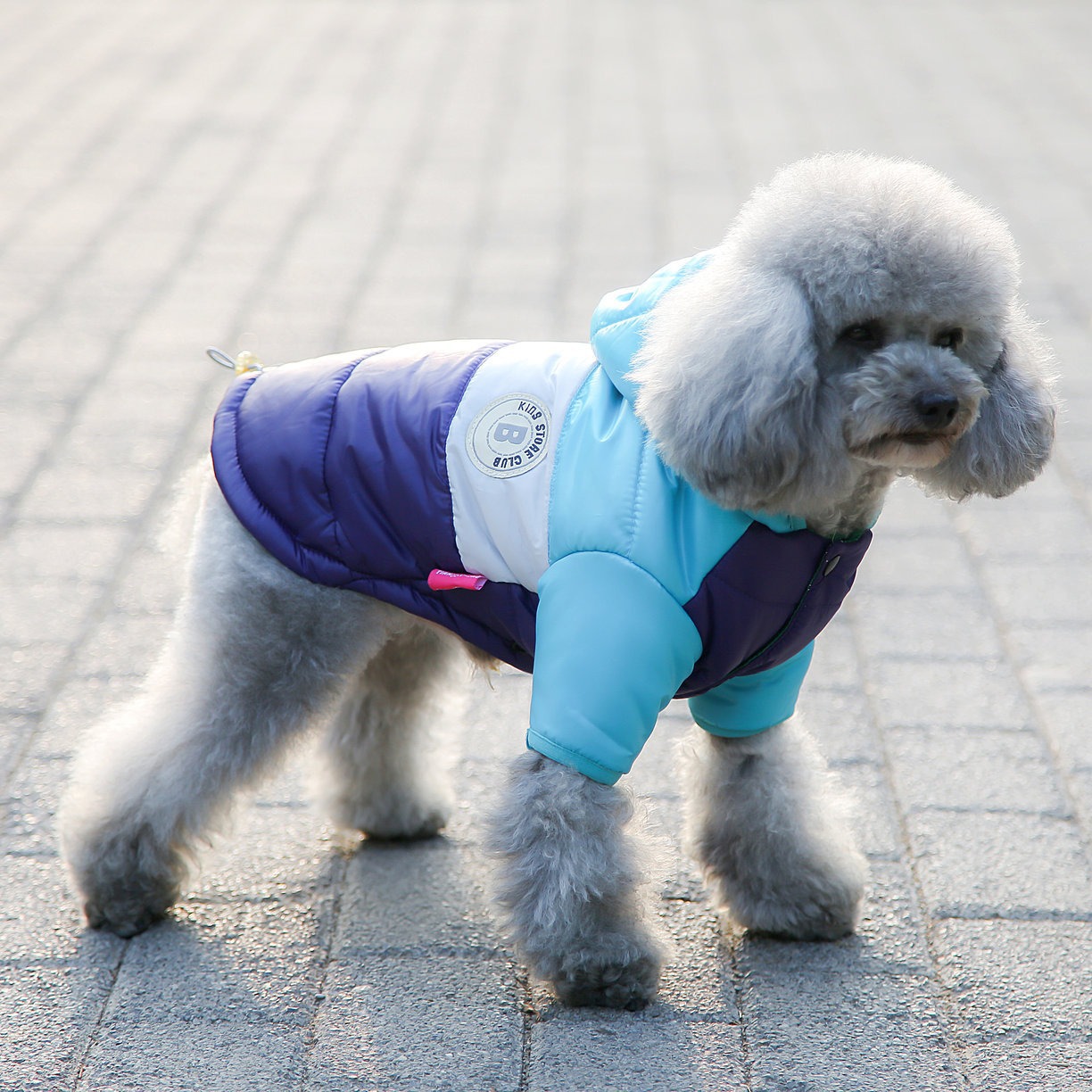 Pet Vest Pet Supplies Winter C - Winter Clothing Options reseña y precio